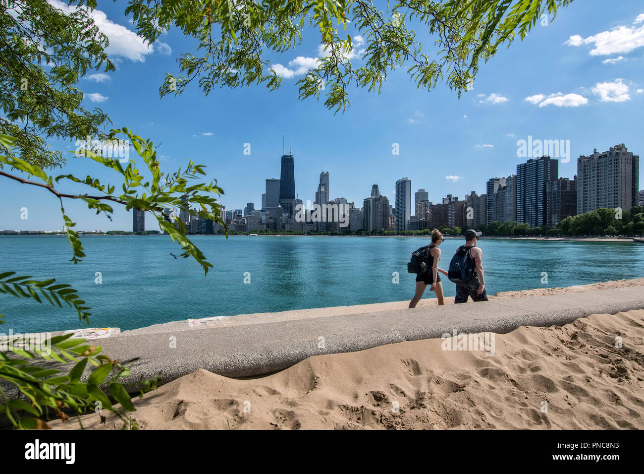 Vue de l'horizon de Chicago à partir de North Avenue Beach, sur le lac Michigan, Chicago, Illinois. Banque D'Images
