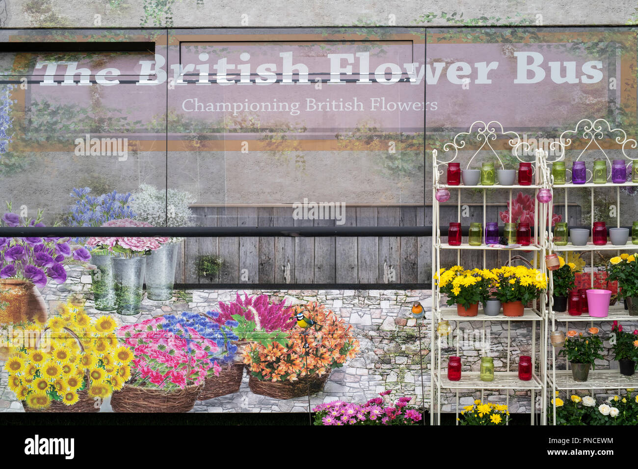 La fleur en autobus à la RHS Wisley Flower Show 2018. RHS Wisley, Surrey, Angleterre Banque D'Images
