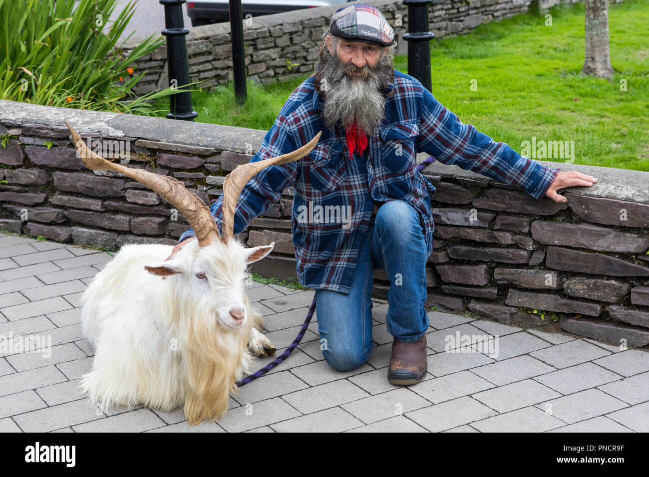 Le Sneem, République d'Irlande - 17 août 2018 : un gentleman irlandais montrer fièrement sa chèvre dans le village de Sneem, dans le comté de Kerry, République de l'Ir Banque D'Images