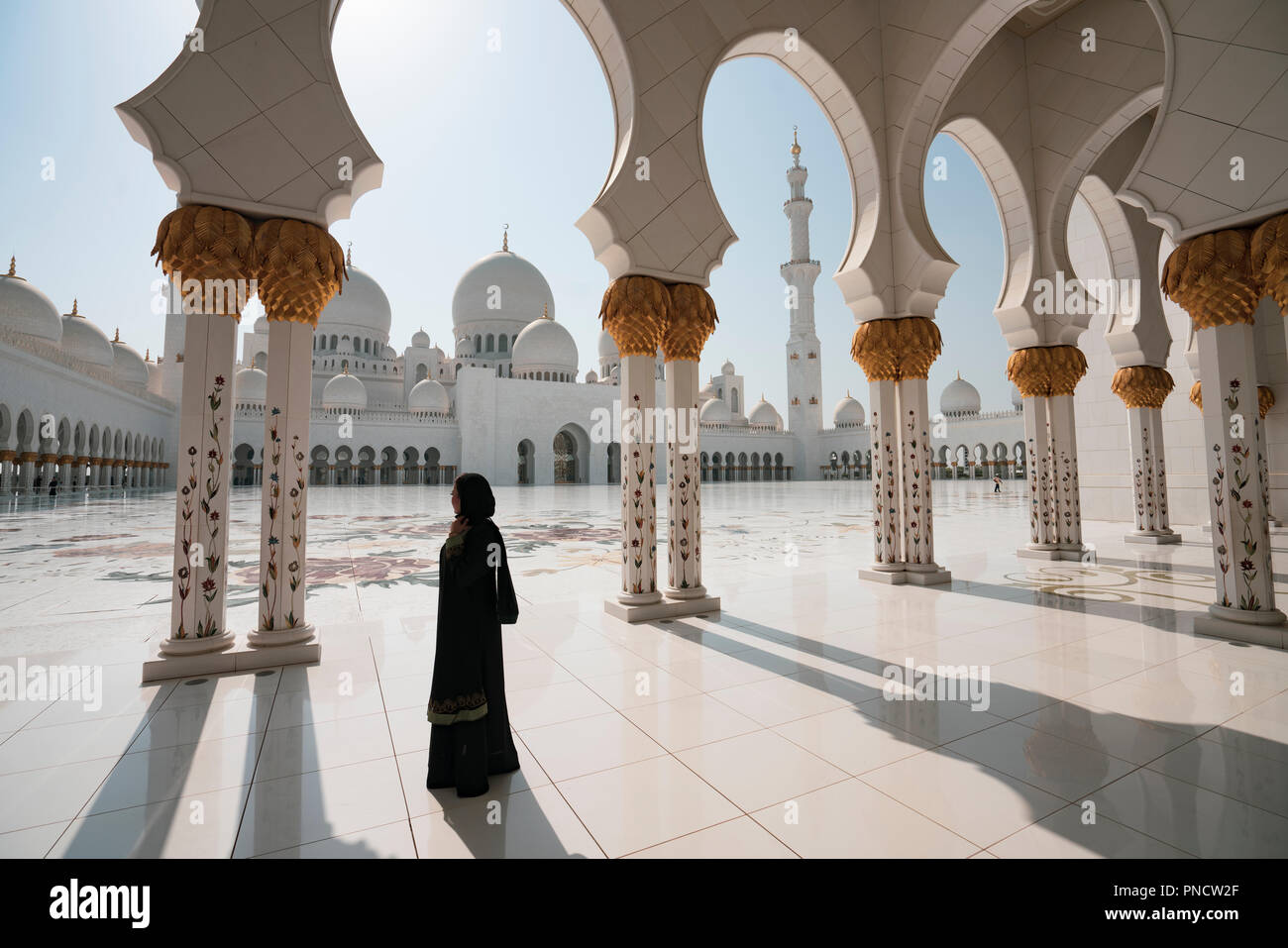 L'extérieur de la Grande Mosquée Sheikh Zayed à Abu Dhabi, Émirats arabes unis, ÉMIRATS ARABES UNIS Banque D'Images