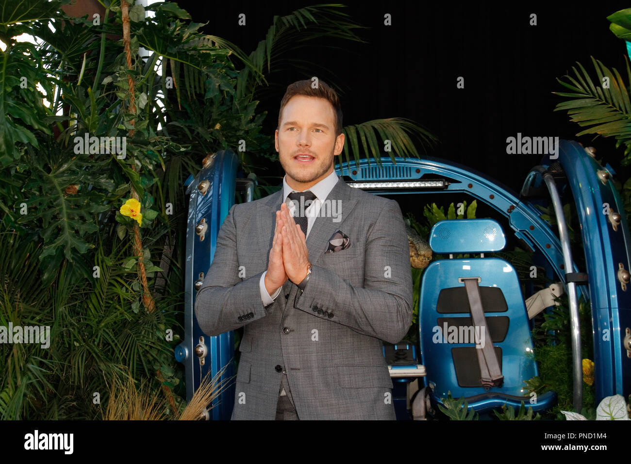 Chris Pratt à la première de Universal Pictures' 'Jurassic World : Fallen Kingdom' qui s'est tenue au Walt Disney Concert Hall à Los Angeles, CA, 12 juin 2018. Photo par Joseph Martinez / PictureLux Banque D'Images