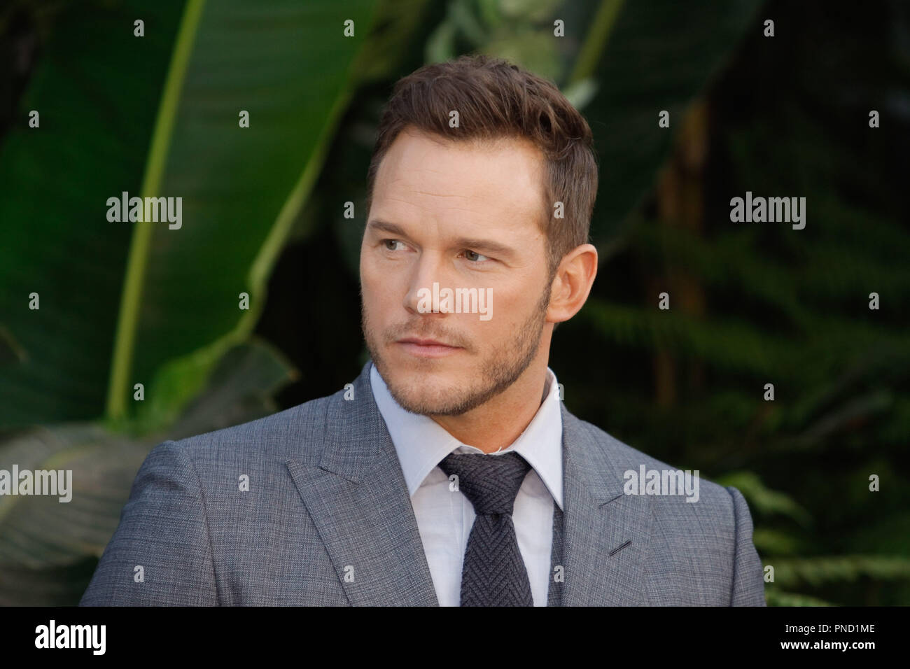 Chris Pratt à la première de Universal Pictures' 'Jurassic World : Fallen Kingdom' qui s'est tenue au Walt Disney Concert Hall à Los Angeles, CA, 12 juin 2018. Photo par Joseph Martinez / PictureLux Banque D'Images