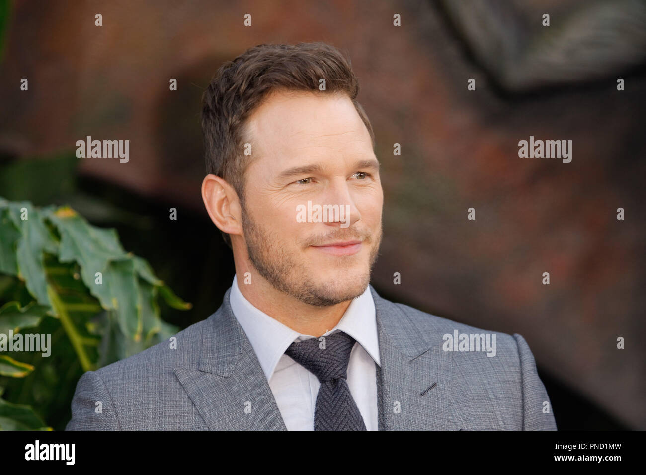 Chris Pratt à la première de Universal Pictures' 'Jurassic World : Fallen Kingdom' qui s'est tenue au Walt Disney Concert Hall à Los Angeles, CA, 12 juin 2018. Photo par Joseph Martinez / PictureLux Banque D'Images