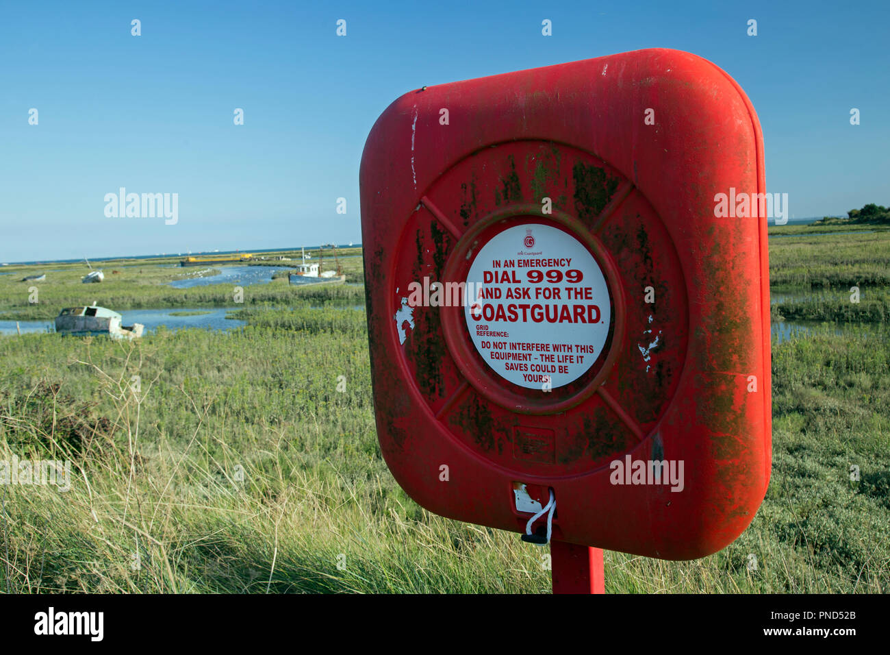 Une vie à la ceinture rouge des marais Leigh Banque D'Images