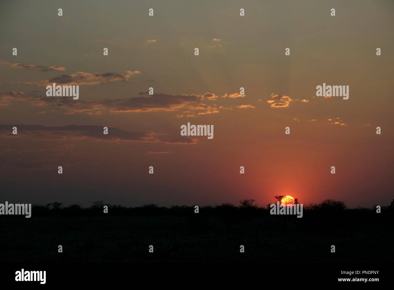 Un voyage à travers la Namibie d'Etosha à Sossusvlei Banque D'Images