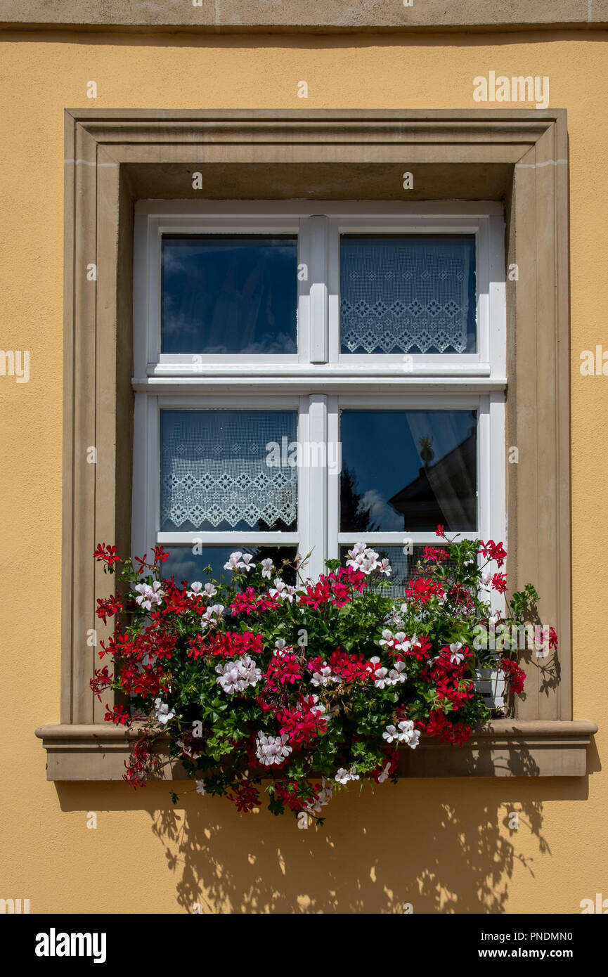 Boîte à fleurs et des rideaux en dentelle dans les fenêtres sont typiques de Zeil, Allemagne Banque D'Images