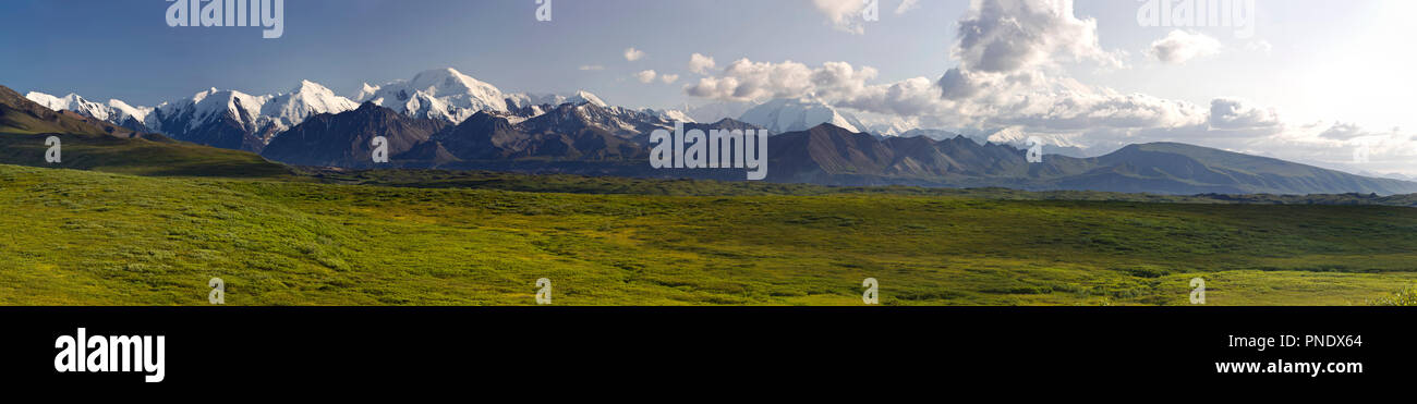 Vue panoramique au sud de l'Alaska dont Mt. McKinley (Denali Mountain) à partir de la partie ouest du parc national Denali, Alaska, USA. Dans la rivière McKinley Banque D'Images