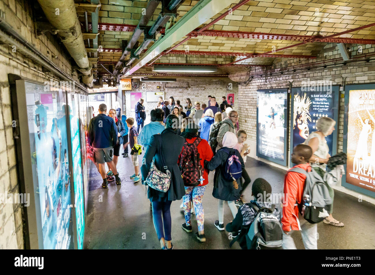 Londres Angleterre,Royaume-Uni,Kensington,South Kensington Station de métro métro tube métro, intérieur, Road Museum accès tunnel piéton, homme hommes Banque D'Images