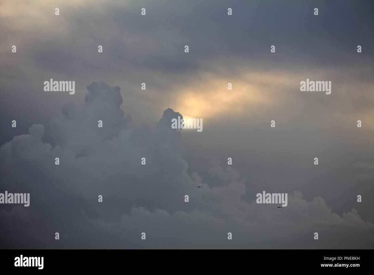 Coucher de soleil nuageux doux avant la pluie et d'orage Banque D'Images