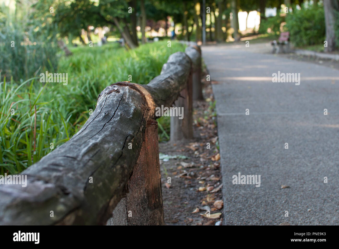 Close-up de rampes en bois at park Banque D'Images