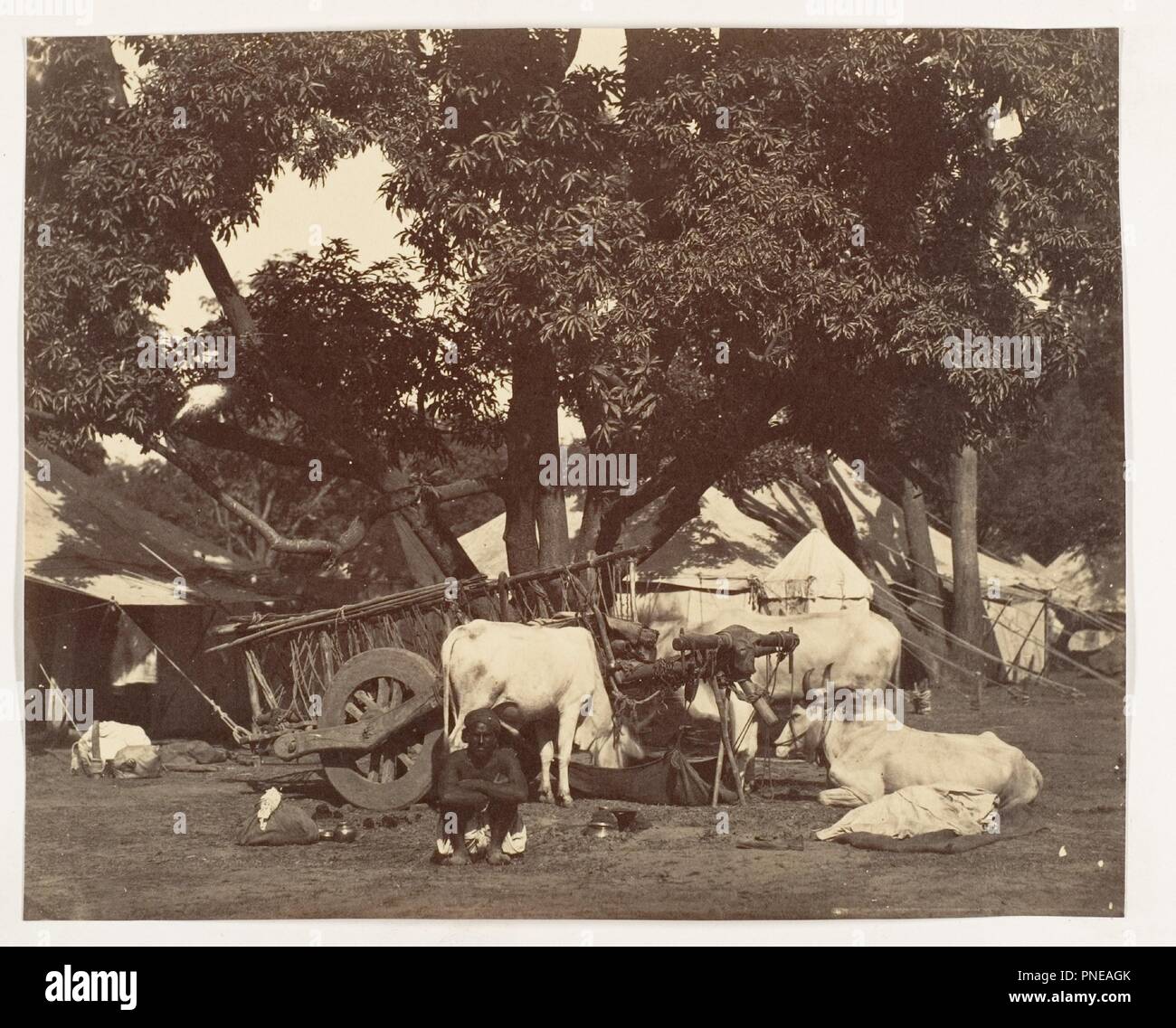 [Scène au Camp]. Artiste : Inconnu. Dimensions : Image : 16,3 x 20,3 cm (6 7/16 x 8 in.) Montage : 33 x 26 cm (13 x 10 1/4 in.) Imprimer monté verticalement.. Date : 1858-61. Musée : Metropolitan Museum of Art, New York, USA. Banque D'Images