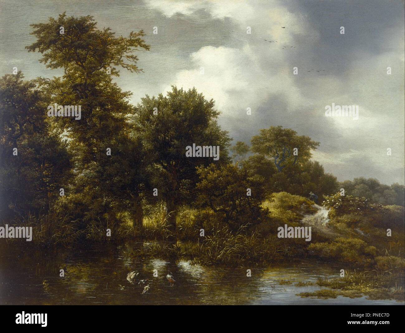 Un paysage boisé avec un étang. Date/Période : fin des années 1640. La peinture. Huile sur panneau. Hauteur : 34,8 cm (13,7 in) ; largeur : 46 cm (18,1 in). Auteur : Jacob van Ruisdael. Banque D'Images