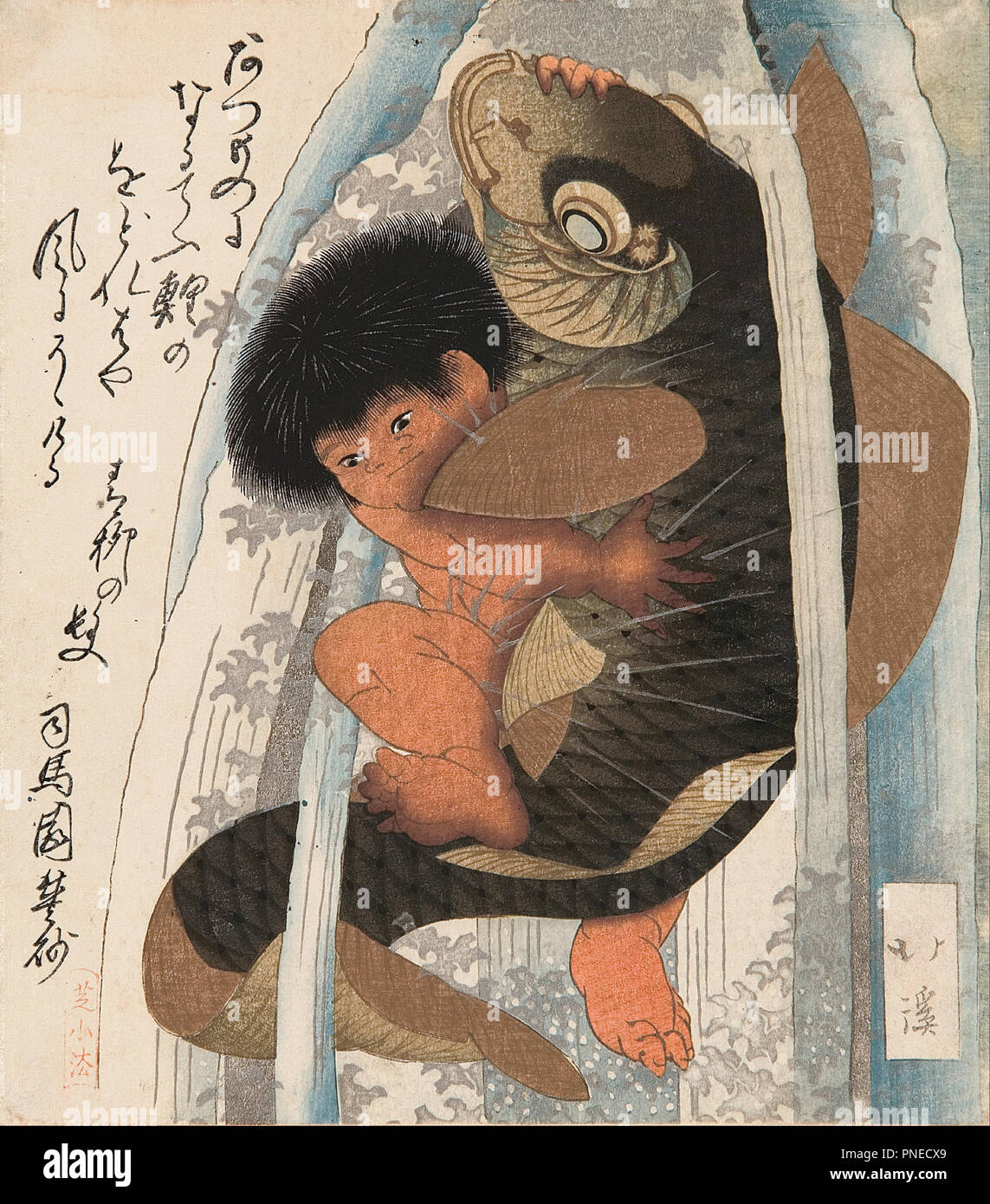Kaidomaru wrestling une carpe dans une cascade. Date/Période : début des années 1820. L'impression. Shikishiban surimono, gravure sur bois en couleur. Hauteur : 21,50 mm (0.84 in) ; largeur : 19 mm (0,74 in). Auteur : TOYOTA HOKKEI. Banque D'Images
