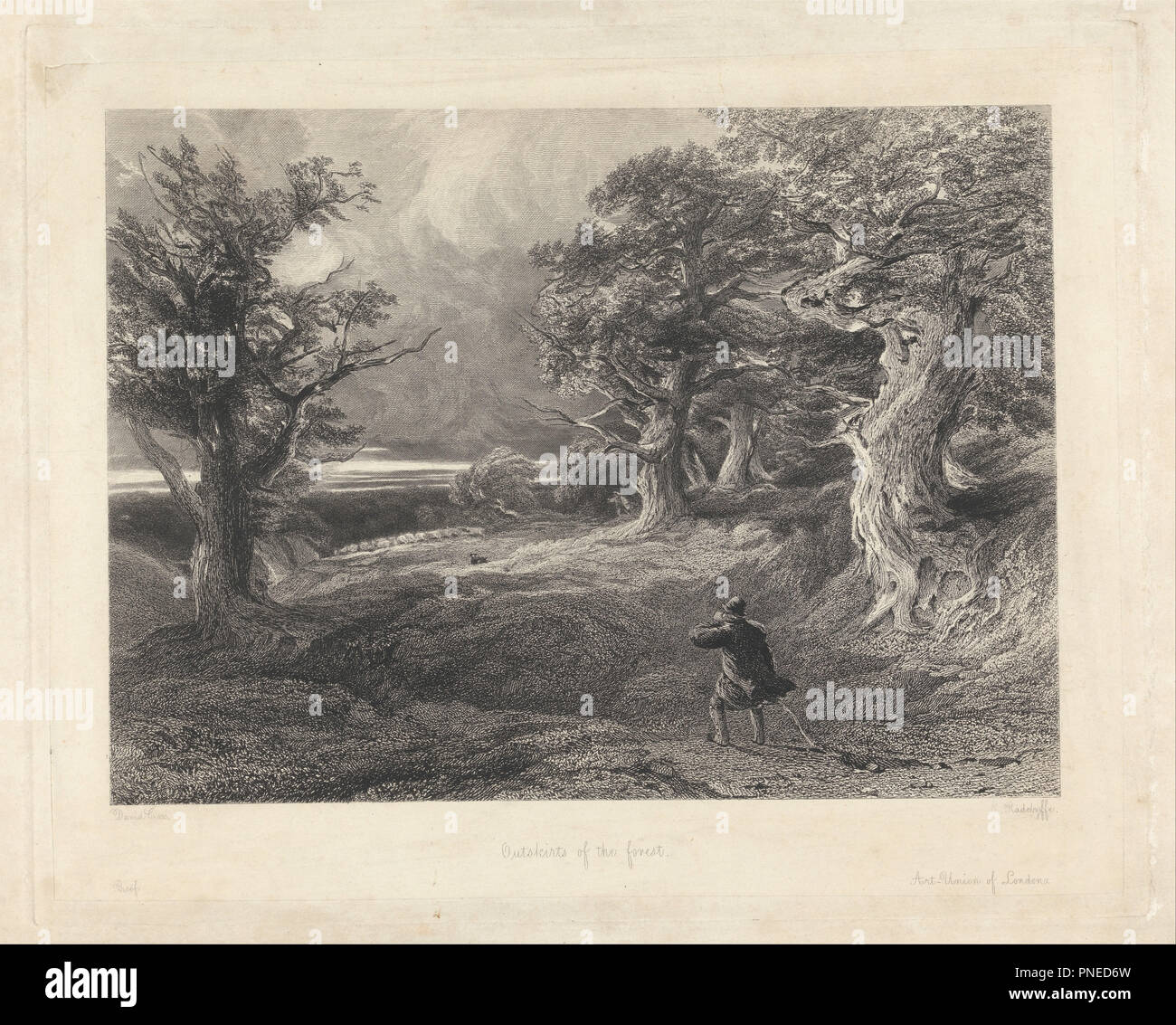 Périphérie de la forêt. Paysage. Gravure sur support, papier vélin crème, lisse. Hauteur : 244 mm (9,60 in) ; Largeur : 305 mm (12 in). Auteur : EDWARD RADCLYFFE. Banque D'Images