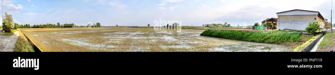 Les champs de riz italien typique, avec des pousses de riz vert immergé dans l'eau fournie par un petit cours d'eau à côté d'une ferme moderne en Galliate, Italie Banque D'Images