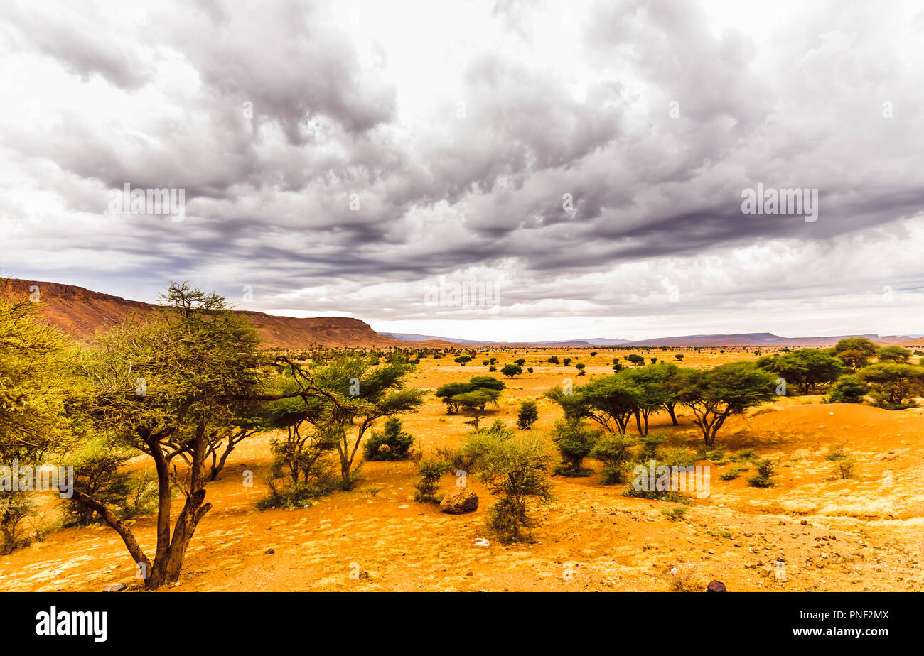 Vue sur paysage de savane spectaculaire au Maroc Banque D'Images