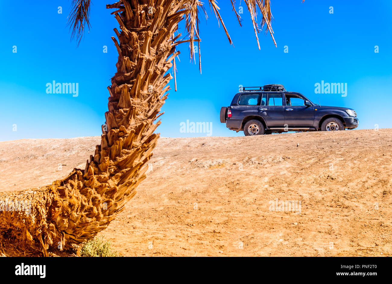 Avis sur palm et SUV dans le désert du Maroc à côté de M'hamid Banque D'Images