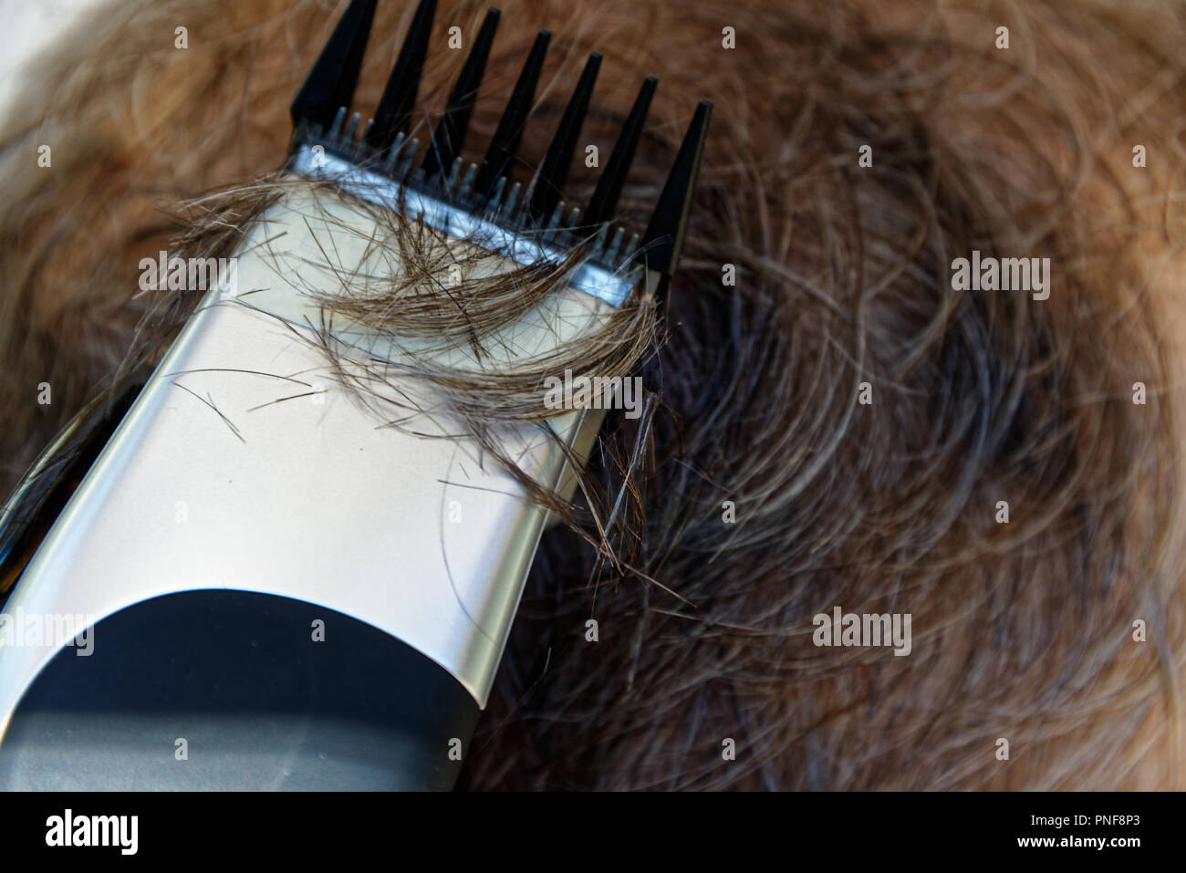 Un homme obtient une coupe de cheveux à l'aide d'tondeuse électrique plutôt que des ciseaux. Banque D'Images