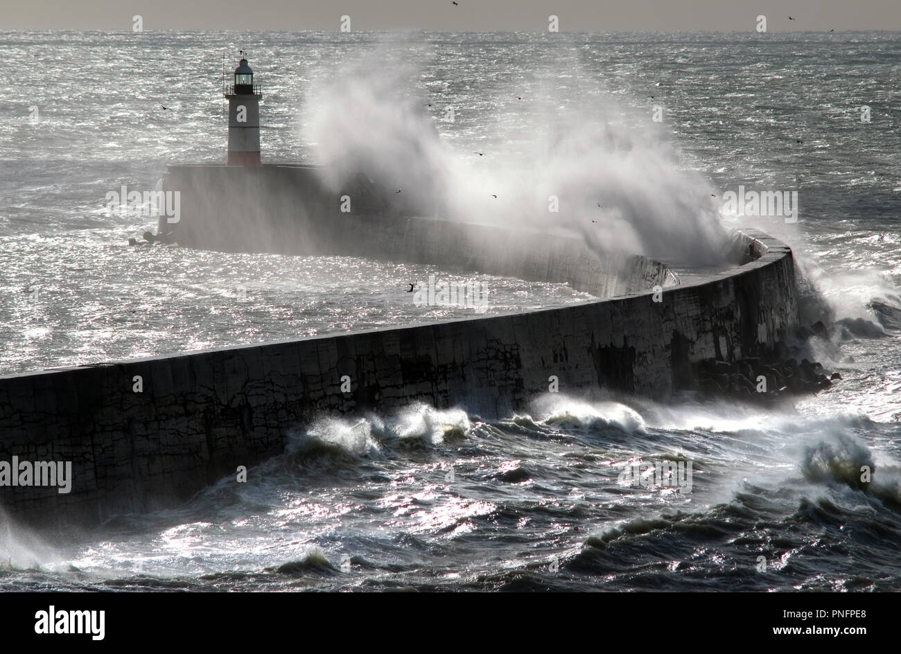 Newhaven, East Sussex, UK. 2er septembre 2018. De forts vents de tempête Bronagh frapper comme un brise-lames Newhaven ferry quitte pour Dieppe, France. © Peter Cripps/Alamy Live News Banque D'Images