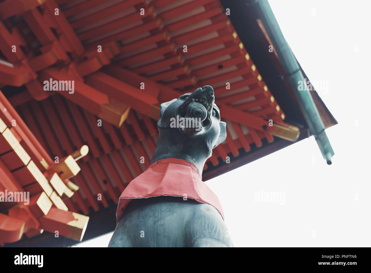 Kyoto, Kyoto, la Chine. Sep 21, 2018. Kyoto, Japan-Fushimi Inari Taisha est le chef de culte du dieu Inari, situé dans le quartier de Fushimi, à Kyoto, au Japon. Le sanctuaire se trouve à la base d'une montagne également nommé Inari qui est 233 mètres (764 ft) au-dessus du niveau de la mer, et comprend des sentiers jusqu'à la montagne pour de nombreux petits sanctuaires qui s'étendent sur 4 kilomètres (2,5 mi) et prendre environ 2 heures de marche. Credit : ZUMA Press, Inc./Alamy Live News Banque D'Images