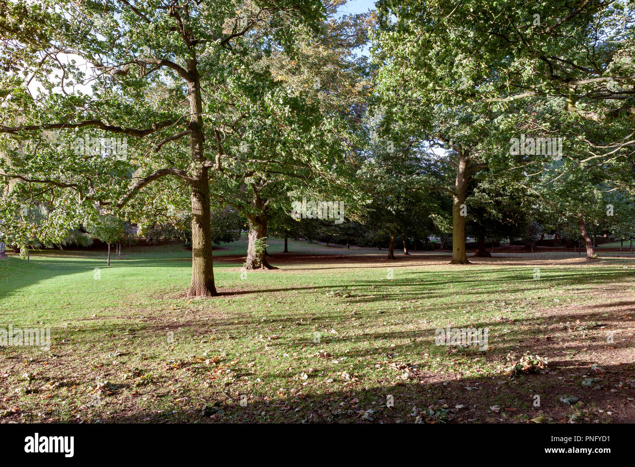 Northampton. Météo au Royaume-Uni. 21 ème Septemper 2018, soleil bas casting shadows amonst les arbres ce soir à Abington Park après un brillant, froid et vent. Credit : Keith J Smith./Alamy Live News Banque D'Images