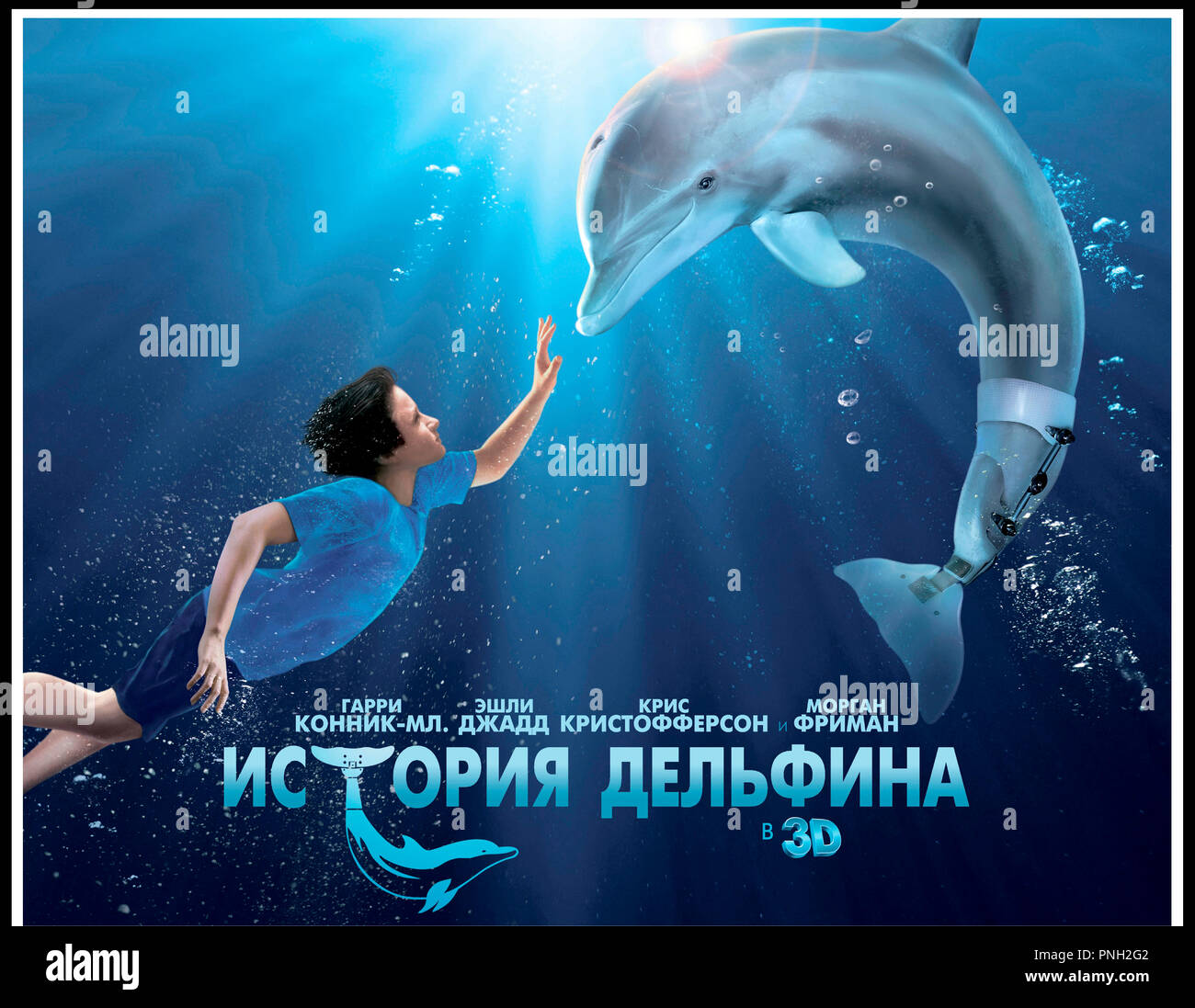 TÉLÉCHARGER FILM L INCROYABLE HISTOIRE DE WINTER LE DAUPHIN HISTOIRE DAUPHIN TÉLÉCHARGER DE INCROYABLE LE L FILM WINTER