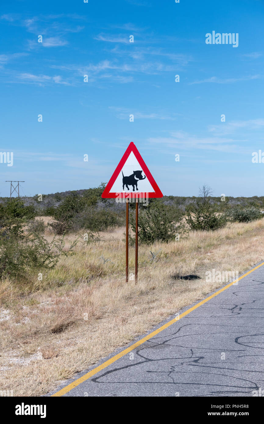 Phacochère Road Sign, Namibie Afrique du Sud Banque D'Images