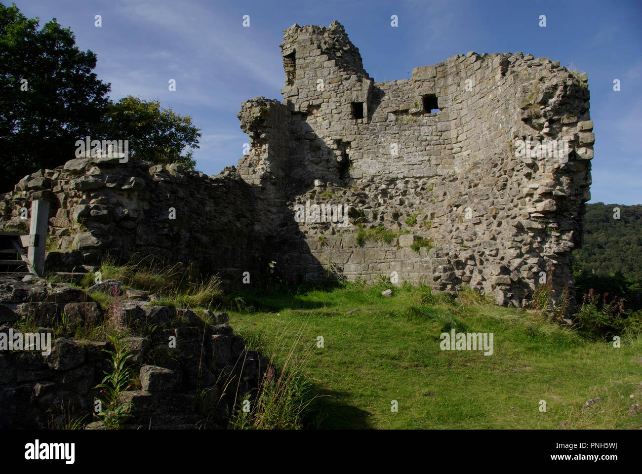 Ruines du château Caergwrle Banque D'Images