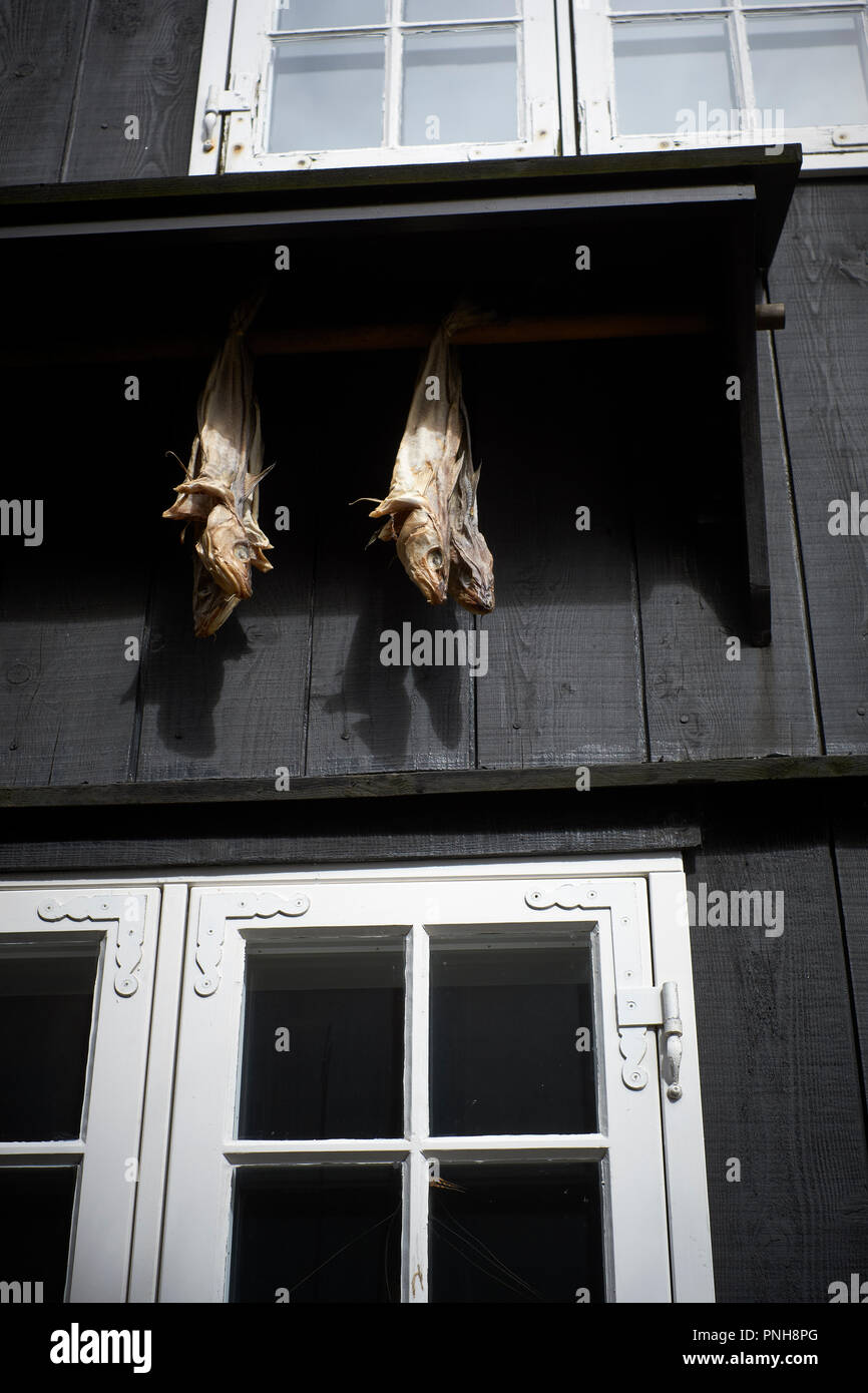 Stockfish séché accroché à l'extérieur d'un bâtiment à colombages typique dans Torshavn sur les îles Féroé. Banque D'Images