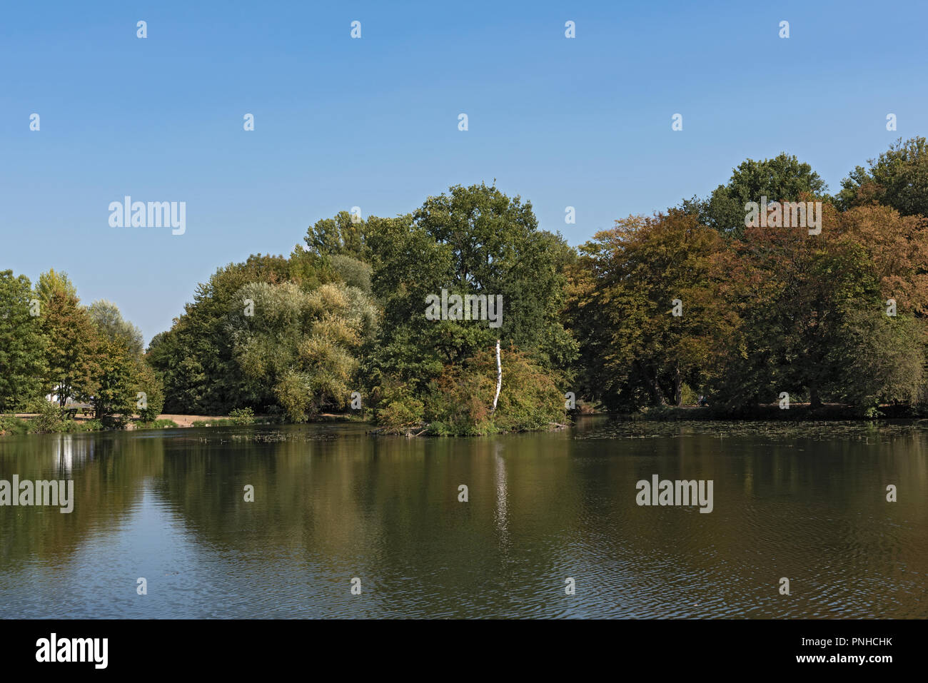 Petit lac près de la Nidda River à Francfort, Allemagne Banque D'Images