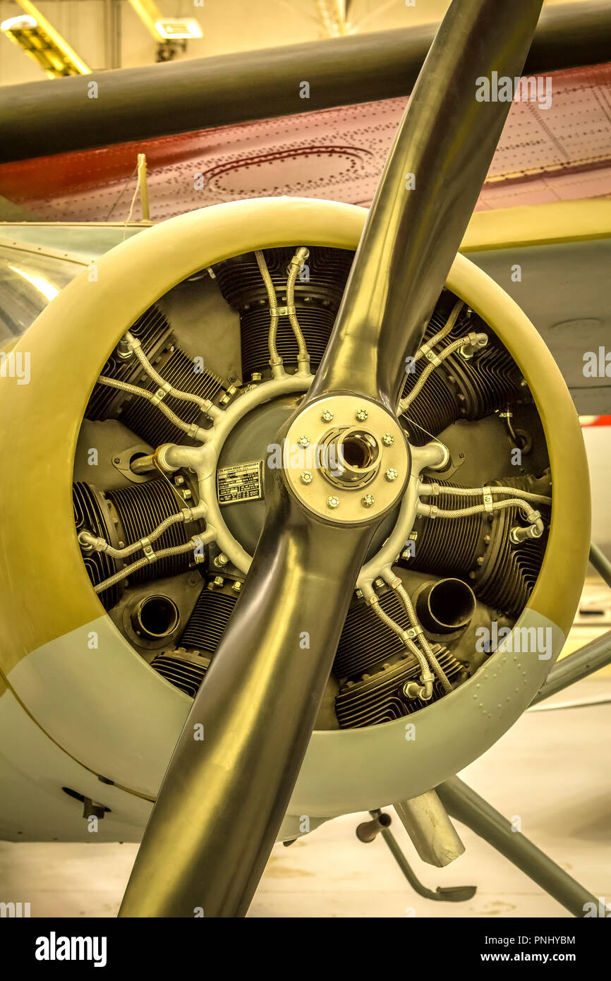 Un moteur d'avion de chasse de la SECONDE GUERRE MONDIALE Banque D'Images