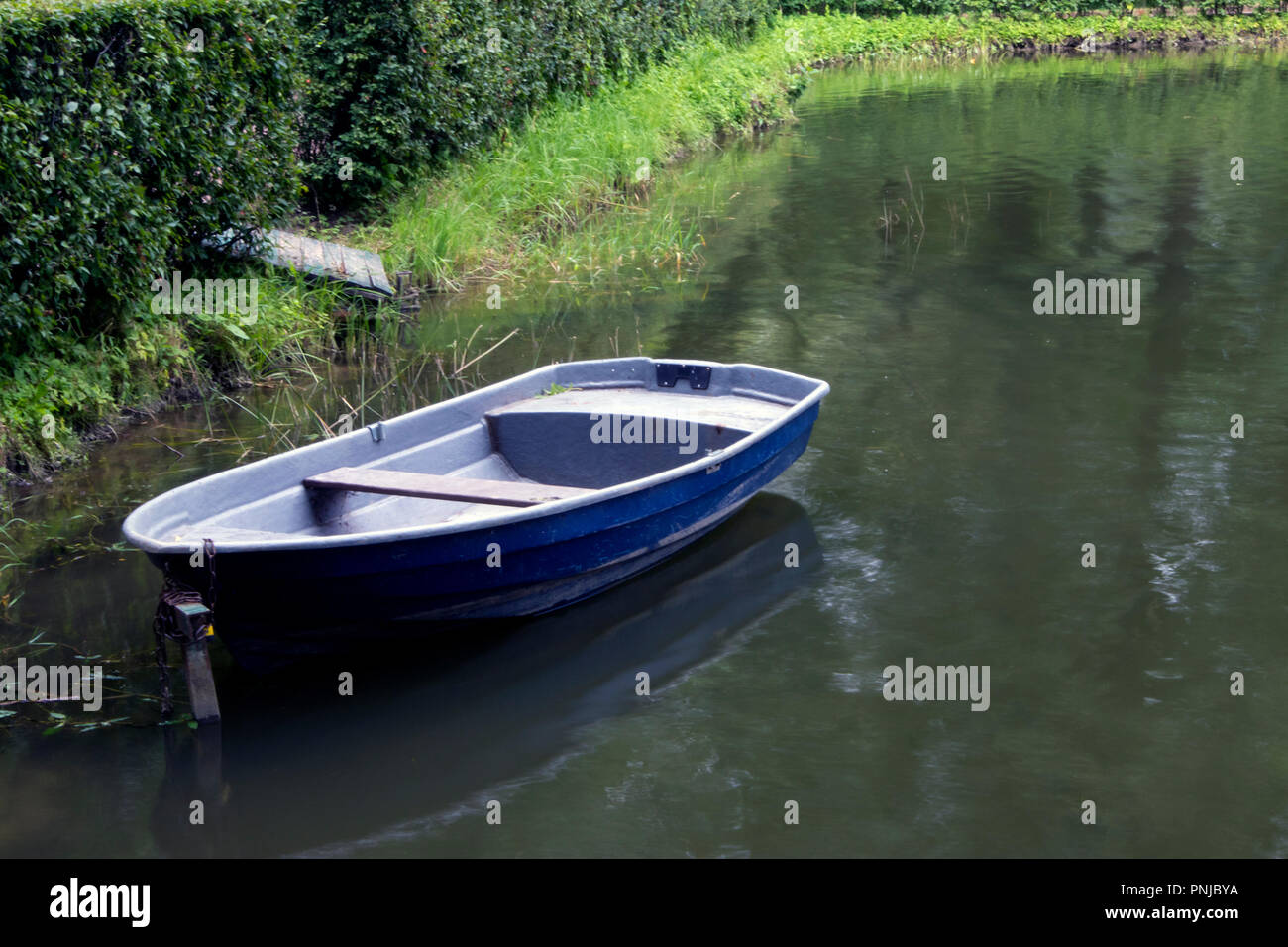 Vide unique ancien bleu bateau amarré dans un taillis vert sur un étang trouble Banque D'Images