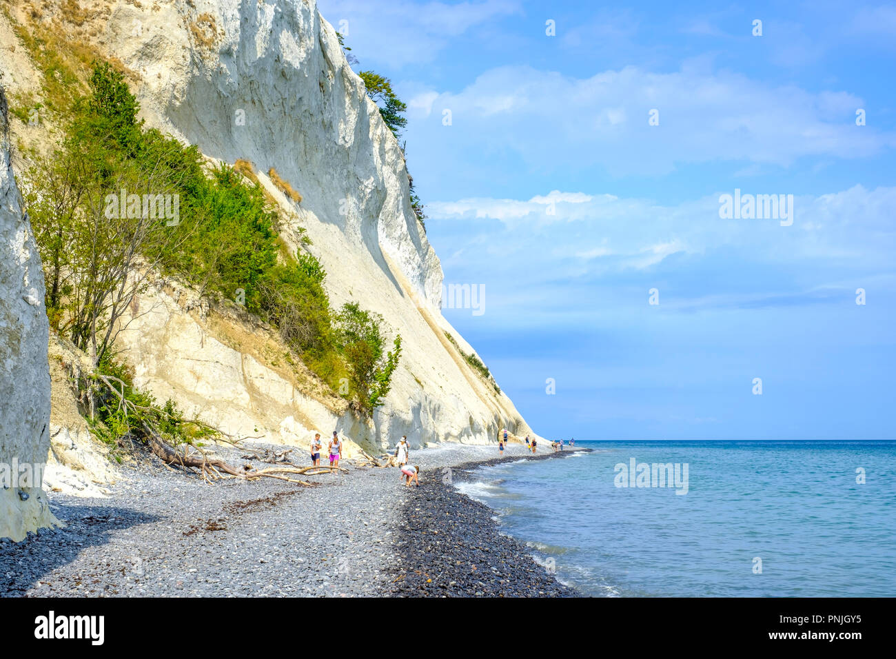 Moens Klint, les falaises blanches de l'île de Moen, Moen, le Danemark, la Scandinavie, l'Europe. Banque D'Images
