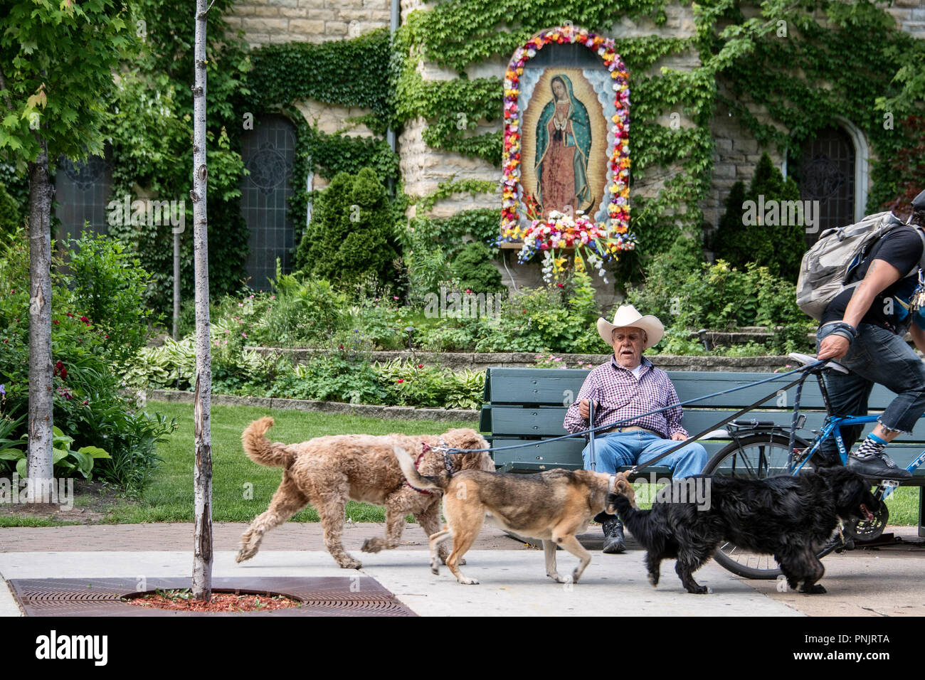 Vieil homme à chapeau de cowboy en face d'image sacrée biker montres avec des chiens à Pilsen, quartier historique de la basse côté ouest de Chicago, IL. Banque D'Images