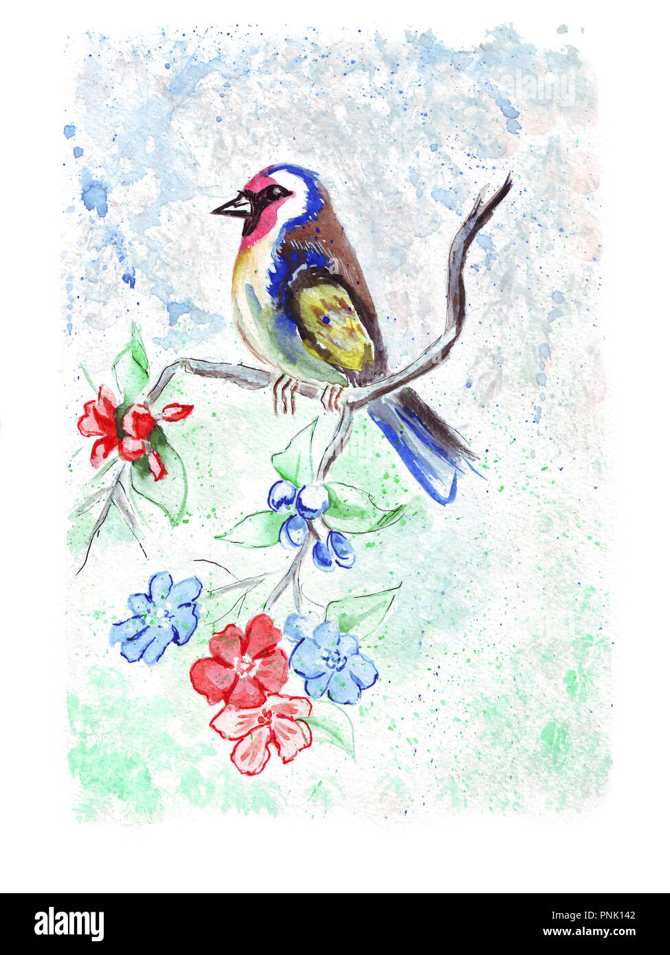 Différents oiseaux colorés de différentes races : chickadee, colibris et autres Banque D'Images