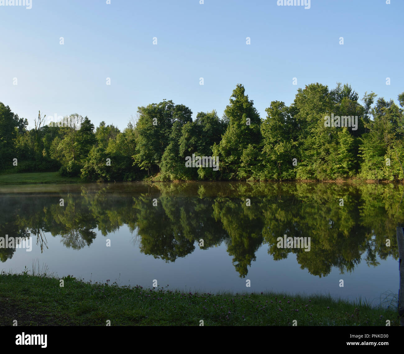 La réflexion comme un miroir vert bordé d'arbres de la rive dans un lac encore sur un matin ensoleillé avec un ciel bleu et quelques touches de brouillard. Banque D'Images