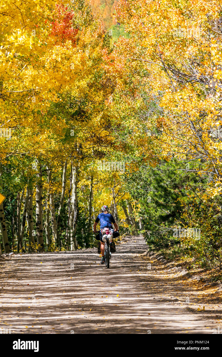 Touring femme cycliste sur route du col de Marshall, ci-dessous Monarch Crest Trail ; ligne ; le centre du Colorado ; USA Banque D'Images