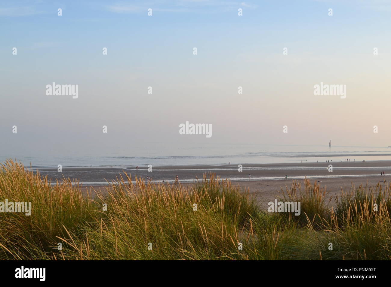 Camber Sands, carrossage, près de Rye, East Sussex, Angleterre, Royaume-Uni, la fin de l'été, la fin de l'après-midi Banque D'Images