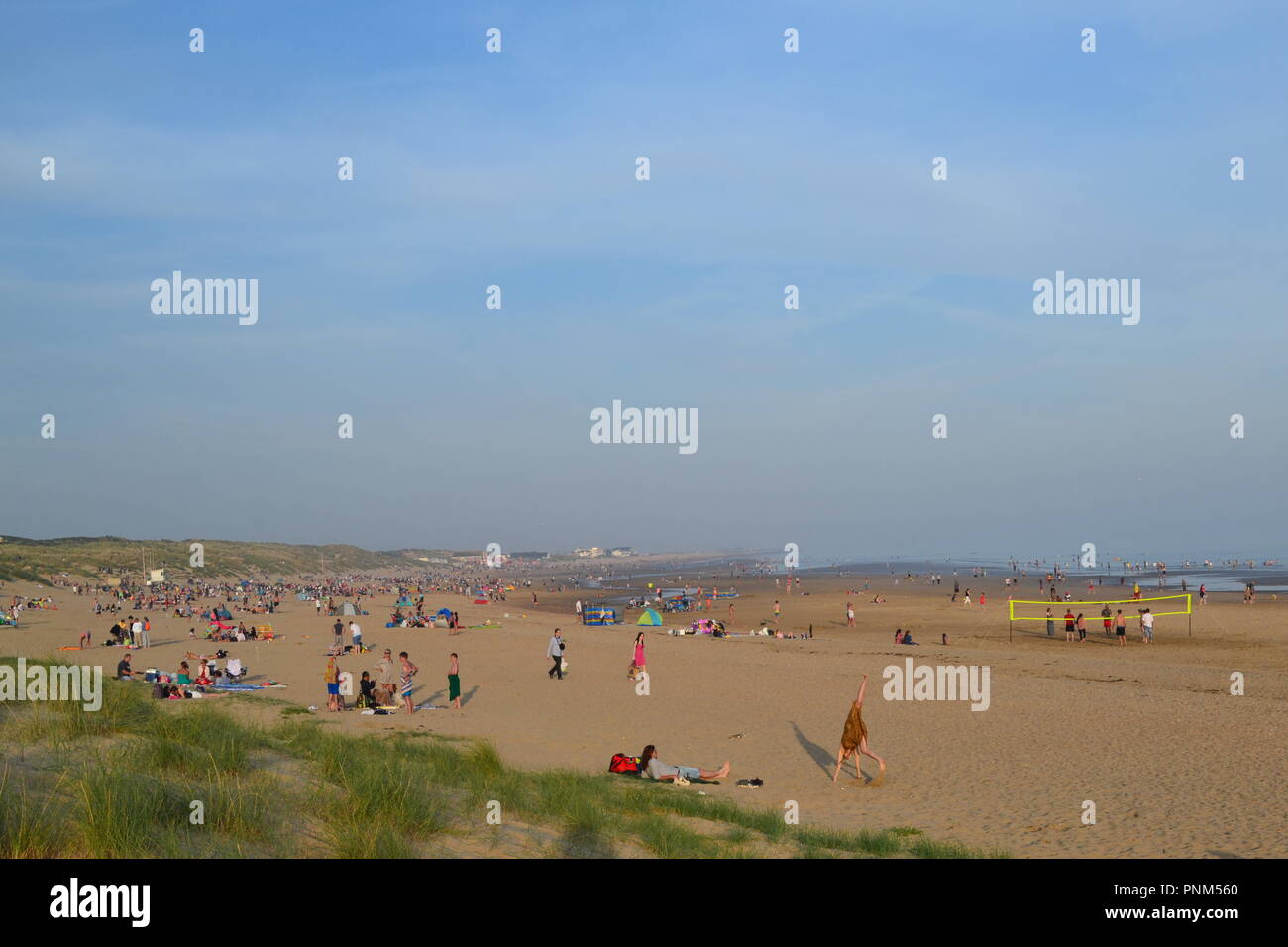 Camber Sands, carrossage, près de Rye, East Sussex, Angleterre, Royaume-Uni, la fin de l'été, la fin de l'après-midi Banque D'Images