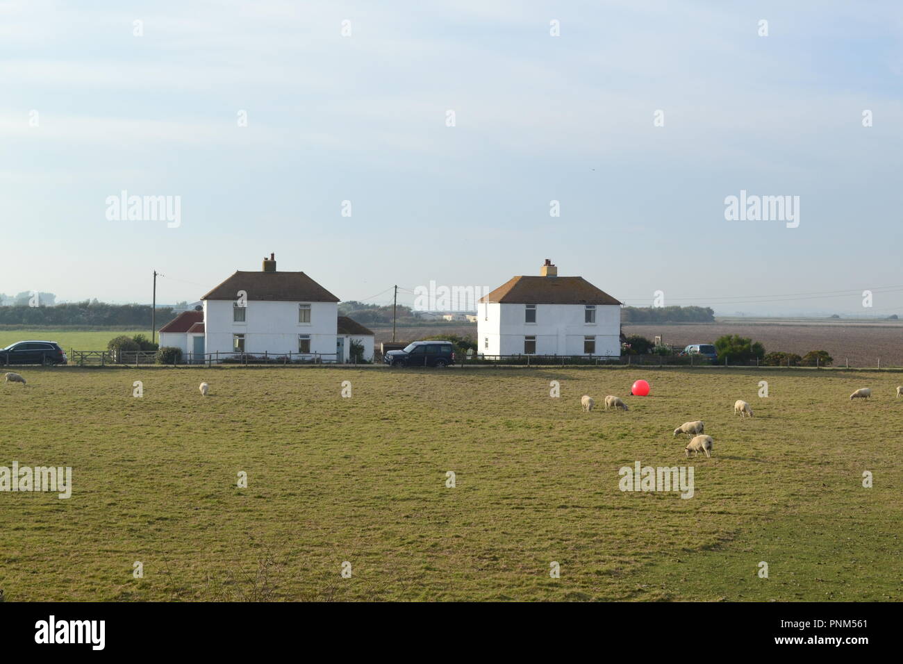 Coastguard cottages et maisons de l'agriculteur à Camber, East Sussex, Angleterre, RU près de Kent à la fin de la frontière sur une journée d'été Banque D'Images