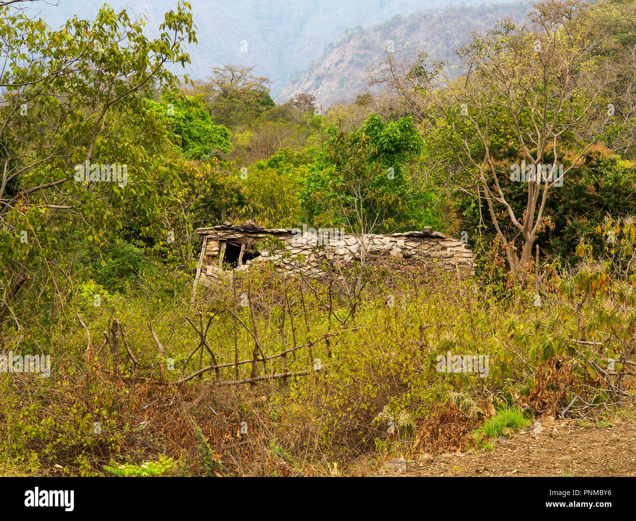 Maison abandonnée au village Thak, un lieu rendu célèbre par Jim Corbett dans son livre Maneaters de Kumaon, Uttarakhand, Inde Banque D'Images