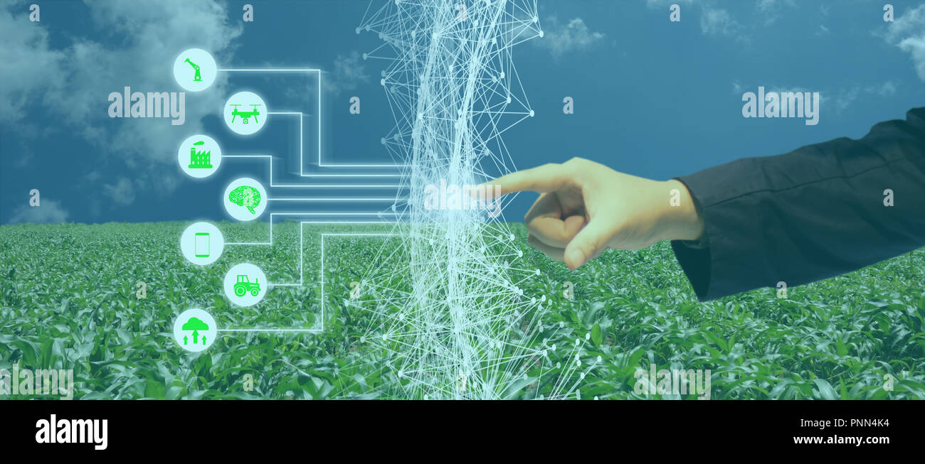 Iot, internet des objets, de l'agriculture, concept robotique intelligente (intelligence artificielle/ AI) pour utiliser le contrôle de gestion , , la surveillance et détecter avec t Banque D'Images