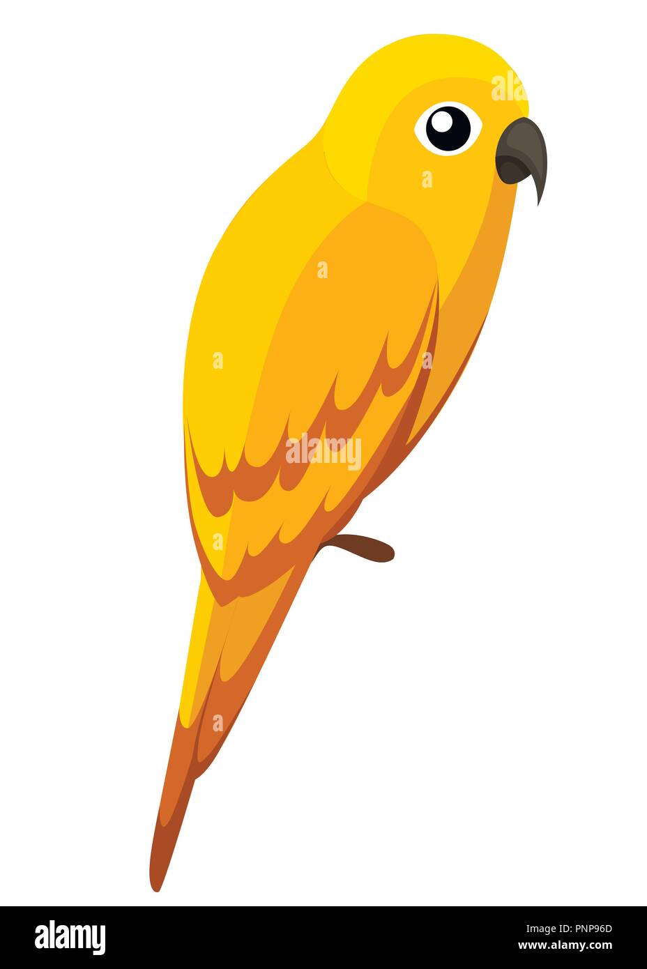 Perroquet jaune mignon. Style cartoon d'oiseaux sauvages. Télévision vector illustration isolé sur fond blanc. Illustration de Vecteur