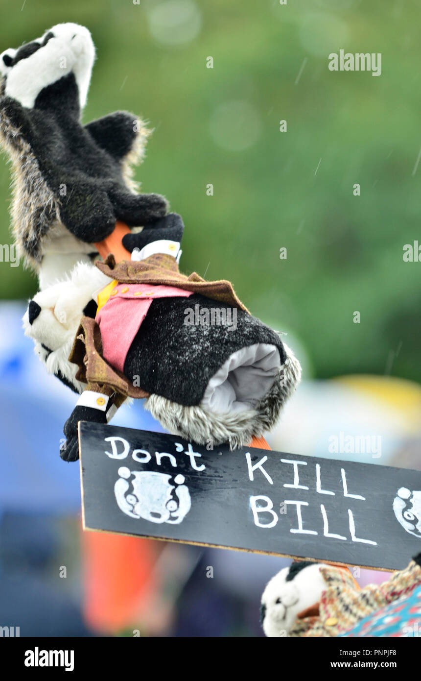 Londres, Royaume-Uni. 22 sept 2018. Malgré la pluie constante, des foules se rassemblent pour promenade dans Hyde Park pour entendre les conférenciers et de la musique sur la scène avant de partir pour une heure de promenade dans le centre de Londres pour mettre en surbrillance la faune locale et le sort de la nature en général. Credit : PjrFoto/Alamy Live News Banque D'Images