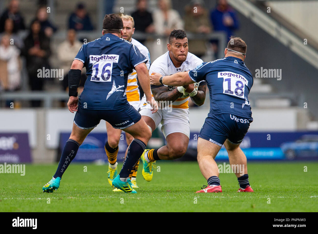 Stade AJ Bell, Salford, Royaume-Uni. 22 Sep, 2018. Gallagher Premiership rugby, vente, contre les guêpes ; Nathan Hughes de guêpes est tackeld par Joe Jones et Rob Webber de Sale Sharks : Action Crédit Plus Sport/Alamy Live News Banque D'Images