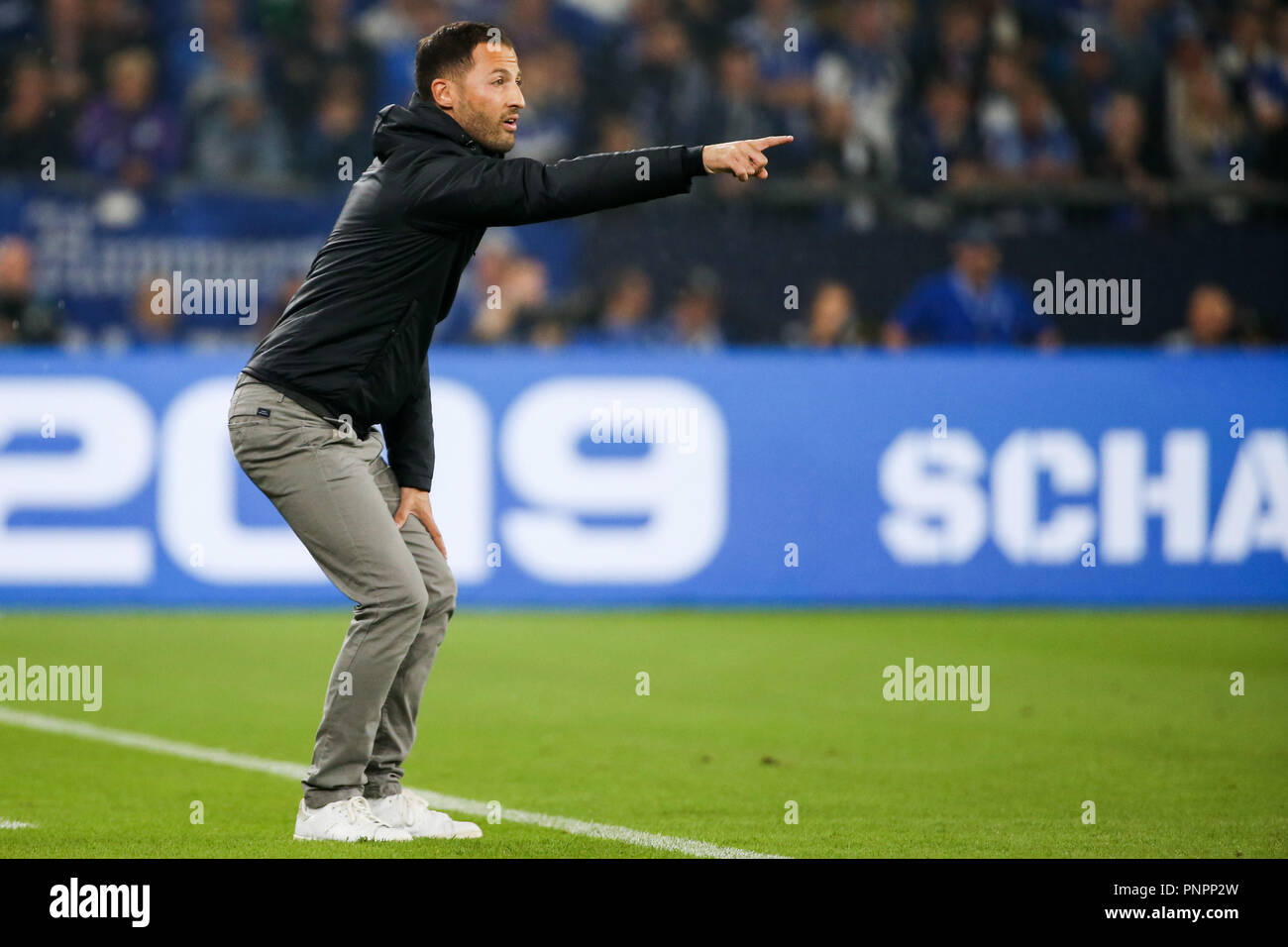 22 septembre 2018, en Rhénanie du Nord-Westphalie, Gelsenkirchen : Soccer : Bundesliga, le FC Schalke 04 v Bayern Munich, 4e journée de la Veltins Arena. L'entraîneur-chef Domenico Schalke. Tedecso Photo : Rolf Vennenbernd/DPA - WICHTIGER HINWEIS : gemäß den Vorgaben der DFL Deutsche Fußball Liga bzw. des DFB Deutscher Fußball-Bund es ist untersagt, en dem Stadion und/oder vom Spiel von angefertigte Sequenzbildern Fotoaufnahmen en forme und/oder videoähnlichen Fotostrecken zu verwalten und verkaufen zu lassen.. Banque D'Images