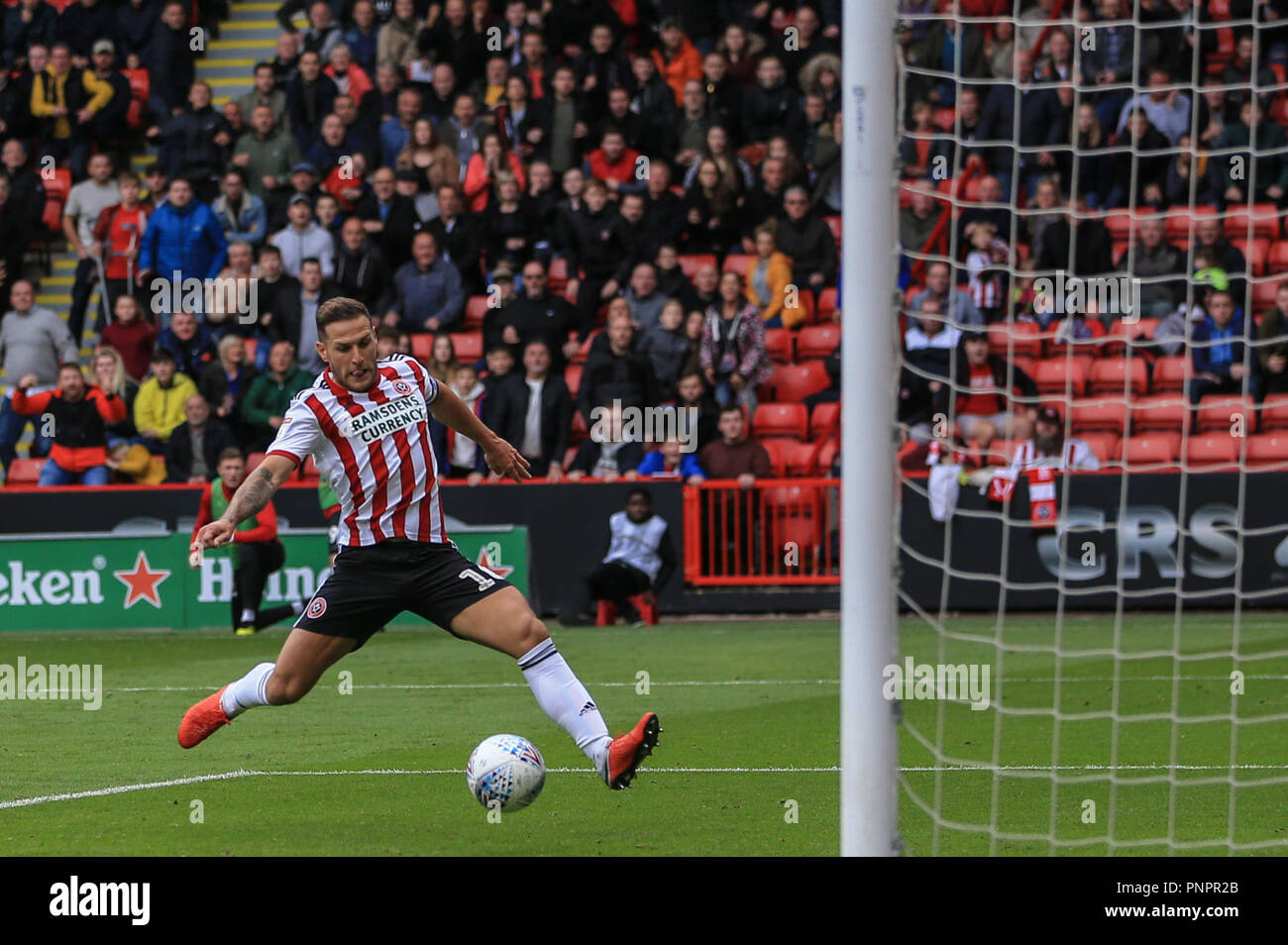 22 septembre 2018, Bramall Lane, Sheffield, Angleterre ; Sky Bet Championship Sheffield United v Preston North End ; Billy Sharp (10) de Sheffield United scores pour le rendre 1-0 Crédit : Mark Cosgrove/News Images EDITORIAL N'utilisez que pas d'utilisation non autorisée avec l'audio, vidéo, données, listes de luminaire, club ou la Ligue de logos ou services 'live'. En ligne De-match utilisation limitée à 45 images, aucune émulation. Aucune utilisation de pari, de jeux ou d'un club ou la ligue/dvd publications et toutes les images de la Ligue anglaise de football sont soumis à licence DataCo Banque D'Images
