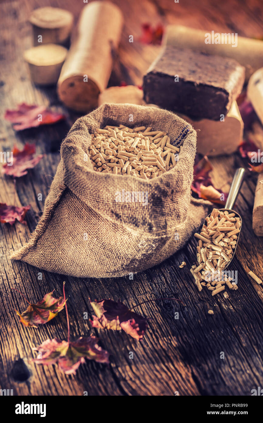 Pressé de bûches de bois et granulés de bois à partir de la biomasse avec les feuilles d'automne. Banque D'Images