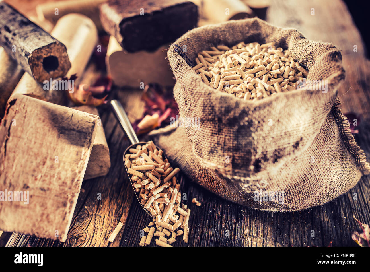 Pressé de bûches de bois et granulés de bois à partir de la biomasse avec les feuilles d'automne. Banque D'Images