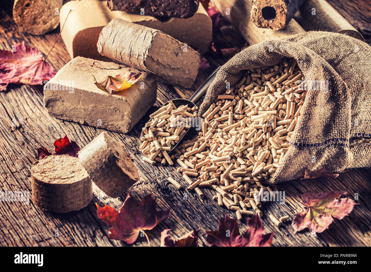 Pressé de bûches de bois et granulés de bois à partir de la biomasse avec les feuilles d'automne. Banque D'Images